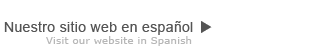 spanish website